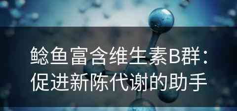 鲶鱼富含维生素B群：促进新陈代谢的助手